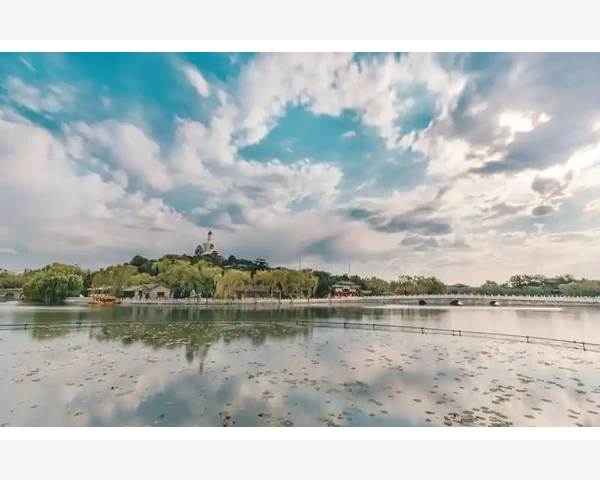 冬虫夏草与灵芝：寻找清肺良药